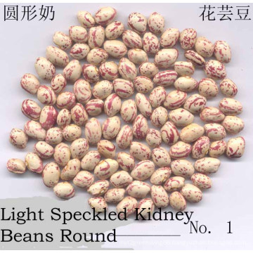 New Crop LSKB Round Shape